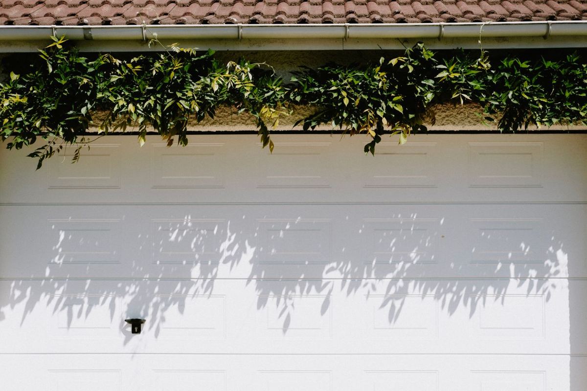A white sectional garage door with raised panels under climbing greenery